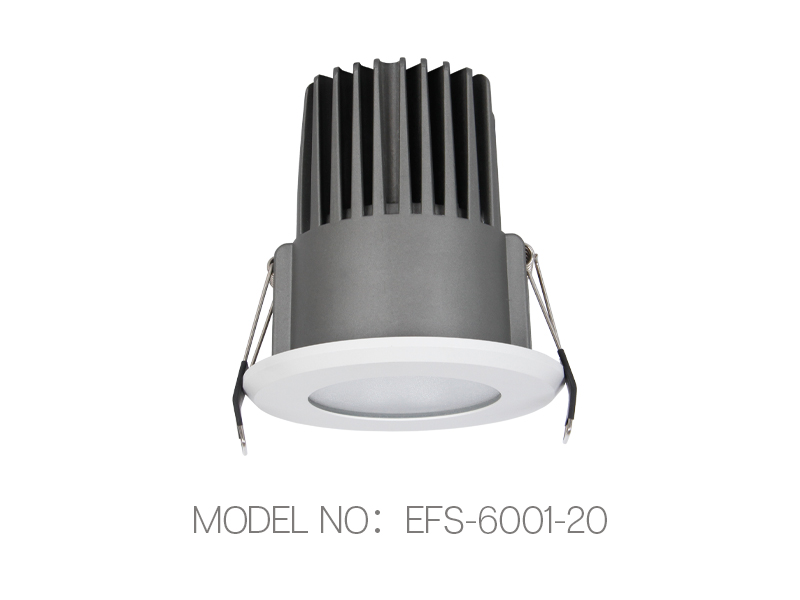 EFS-6001-20