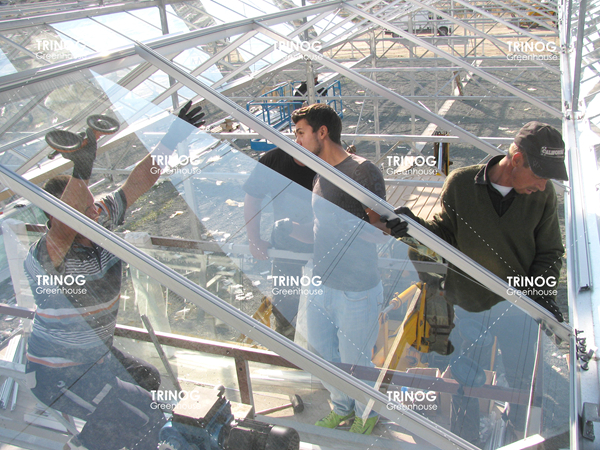 野菜水耕栽培のためのキプロス島ガラス温室