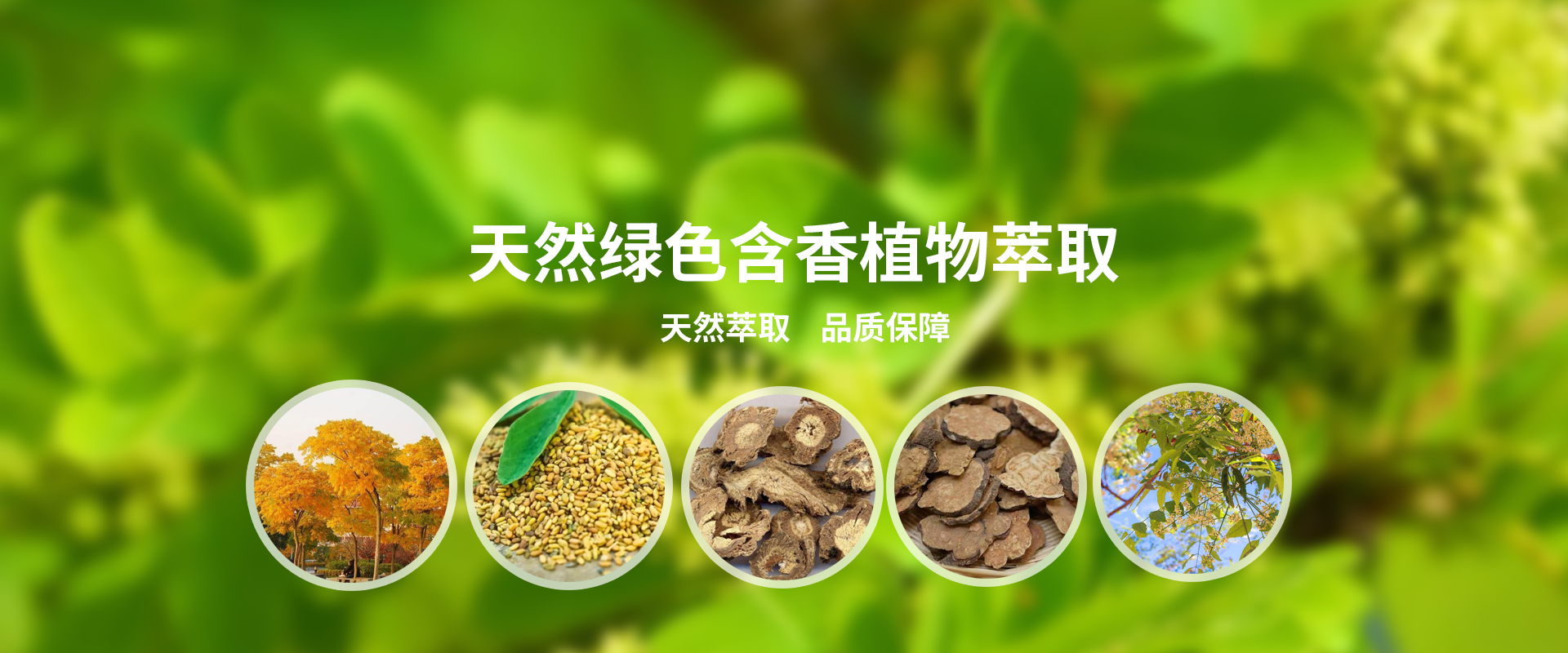 貴州省雷山縣毛克翕茶業(yè)有限公司