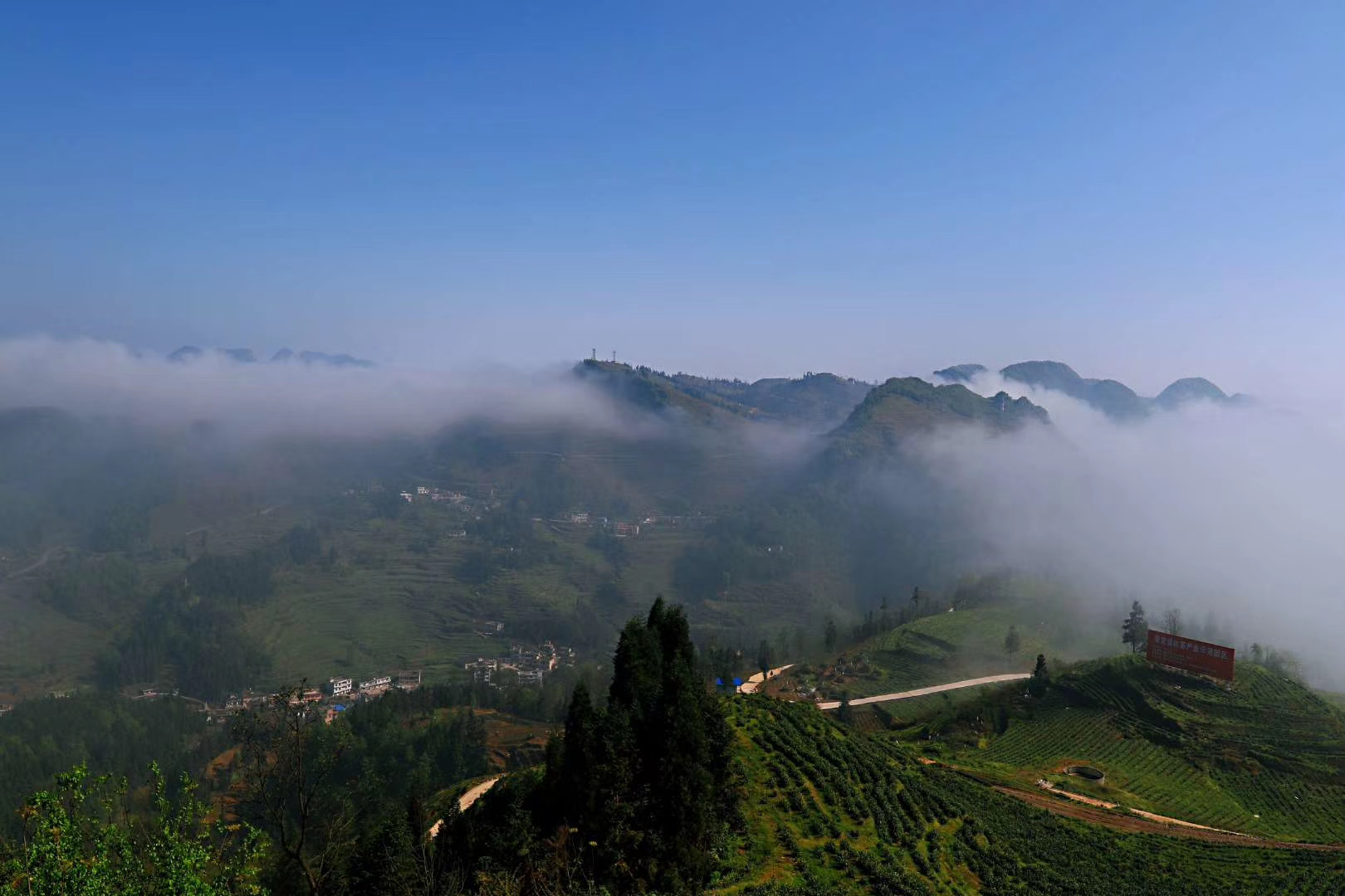 茶山风景