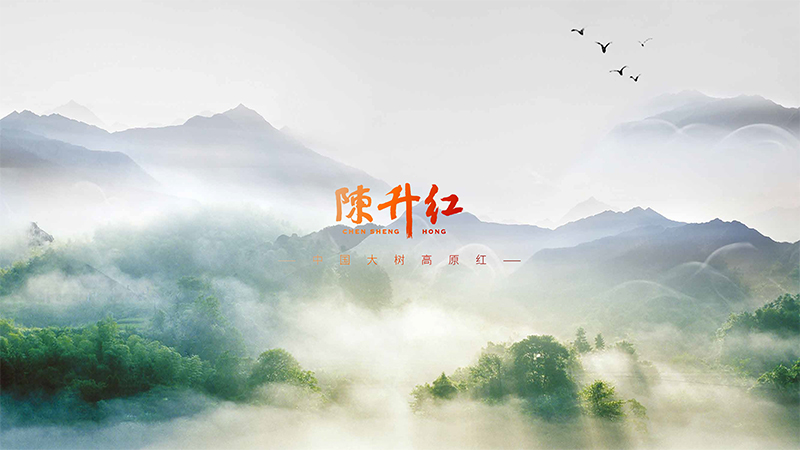 聯(lián)繫我們