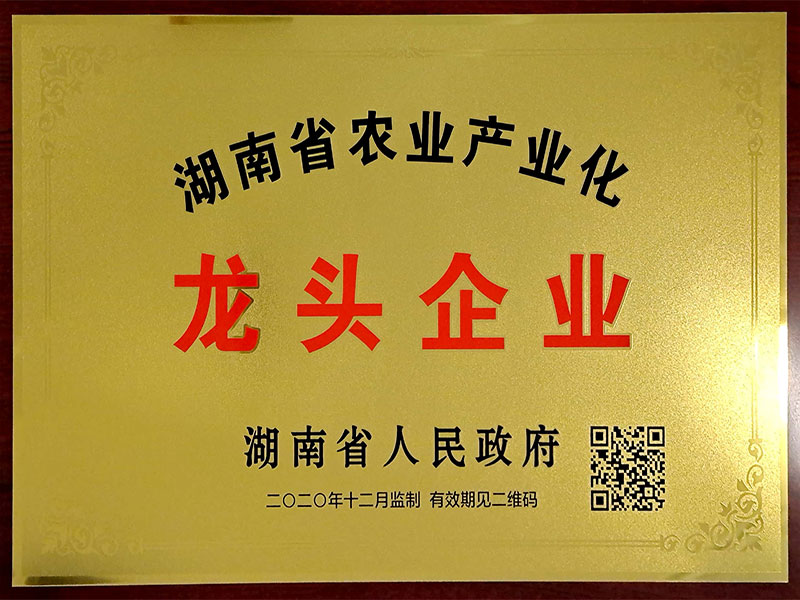榮譽(yù)資質(zhì)